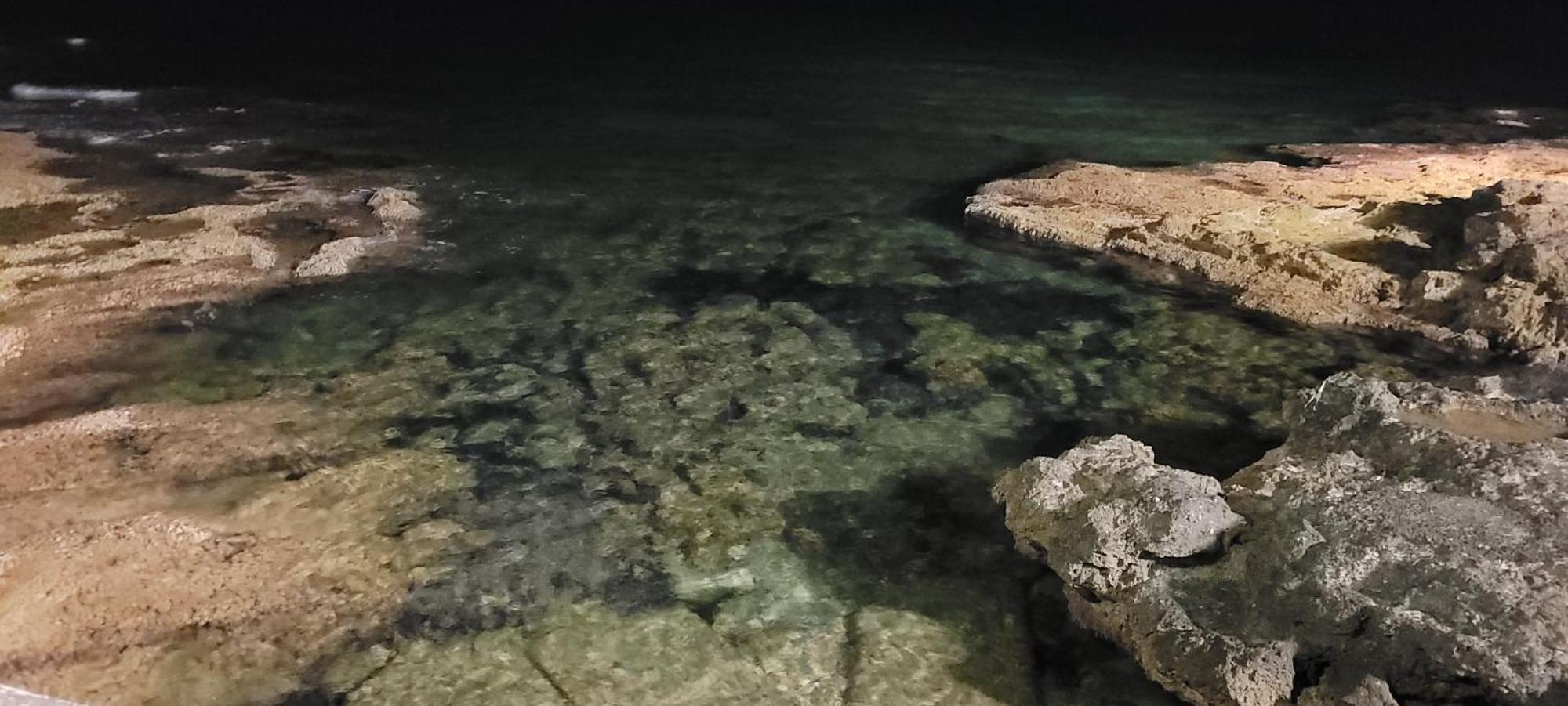 Bungalow Casa De Pablo La Mata  Dış mekan fotoğraf