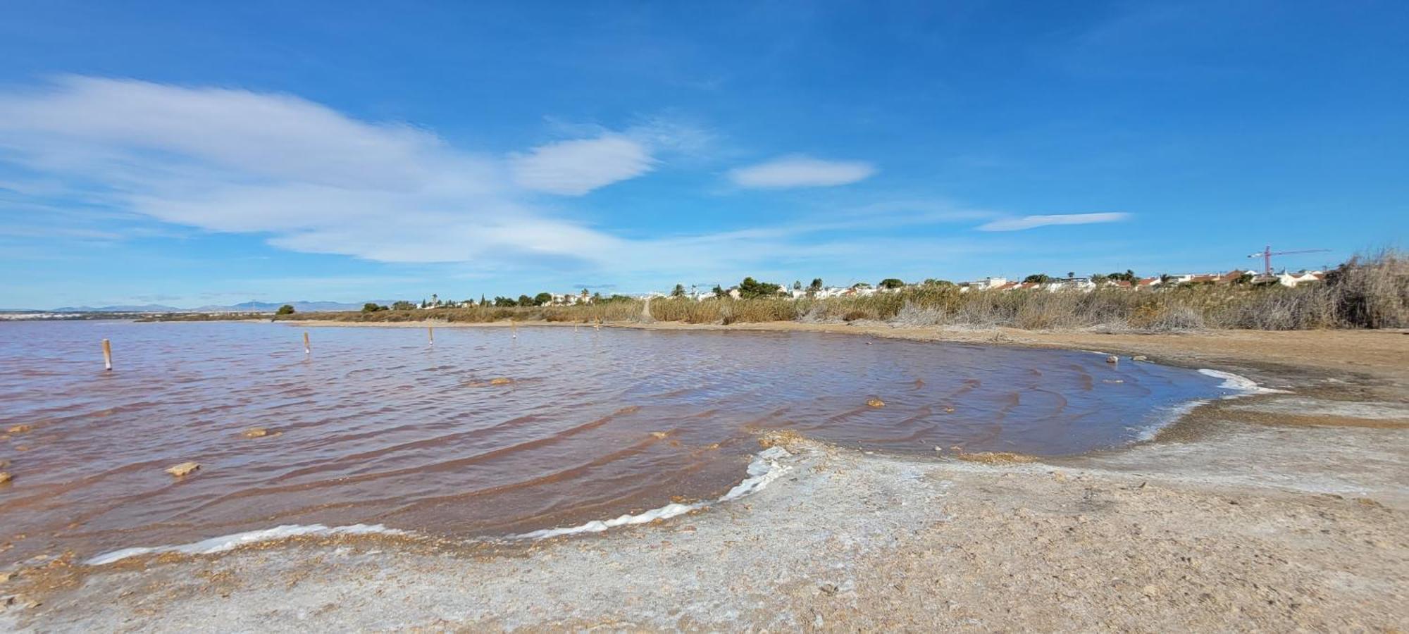 Bungalow Casa De Pablo La Mata  Dış mekan fotoğraf
