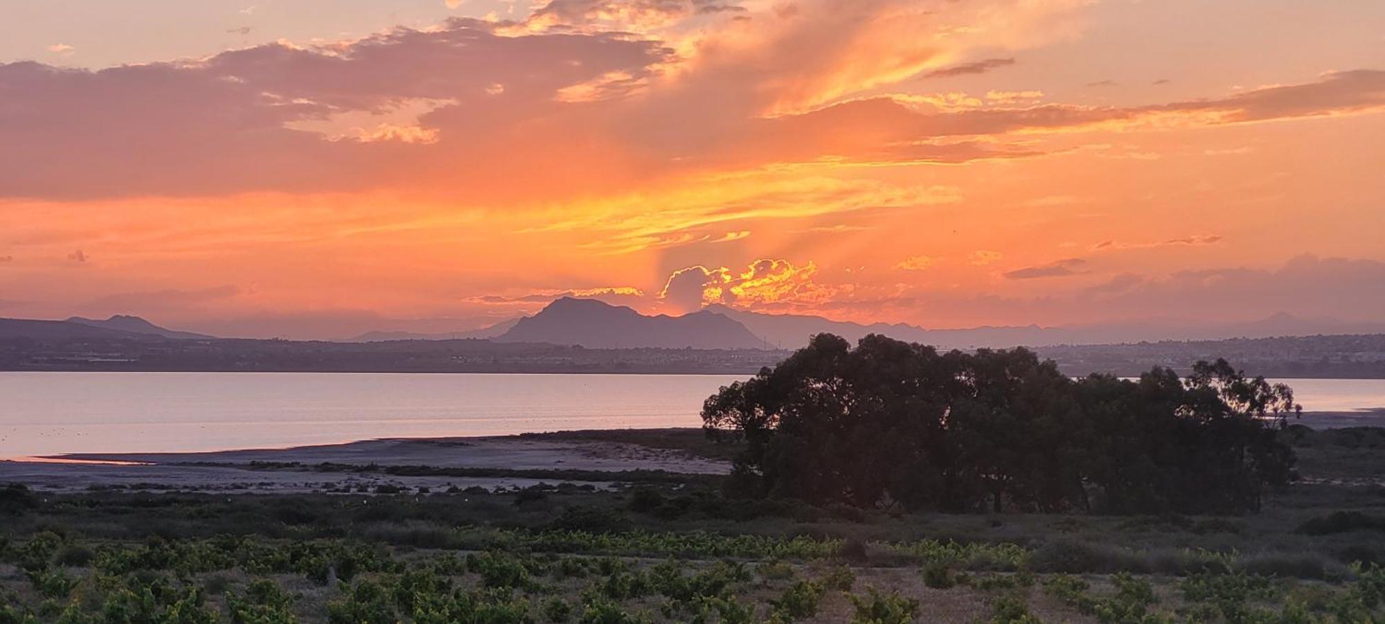 Bungalow Casa De Pablo La Mata  Dış mekan fotoğraf