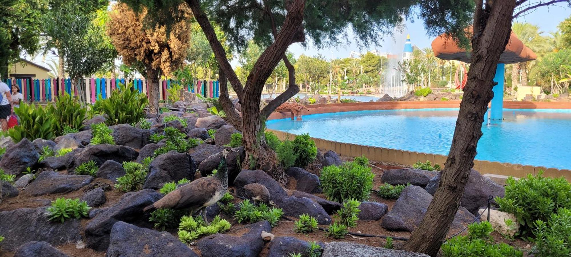 Bungalow Casa De Pablo La Mata  Dış mekan fotoğraf
