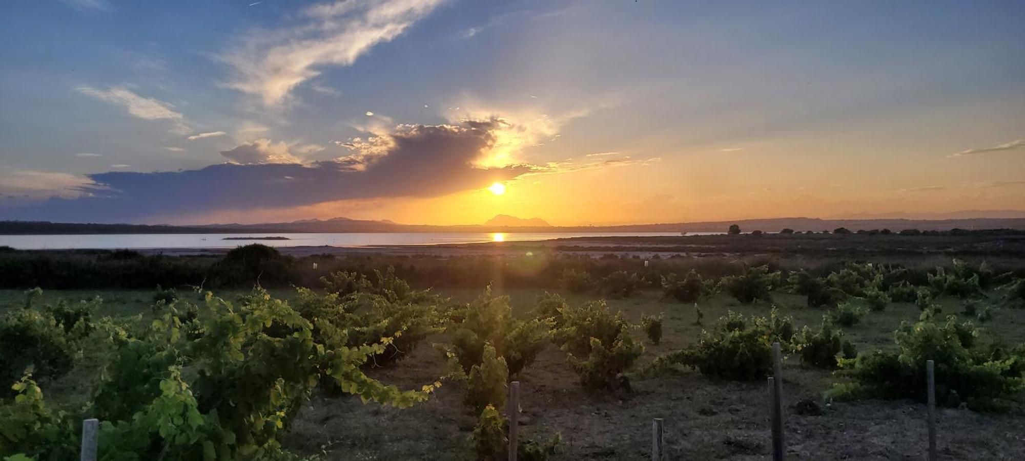 Bungalow Casa De Pablo La Mata  Dış mekan fotoğraf