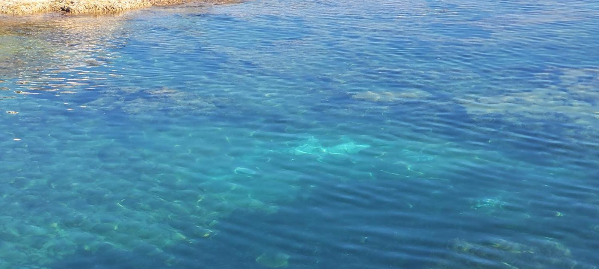 Bungalow Casa De Pablo La Mata  Dış mekan fotoğraf