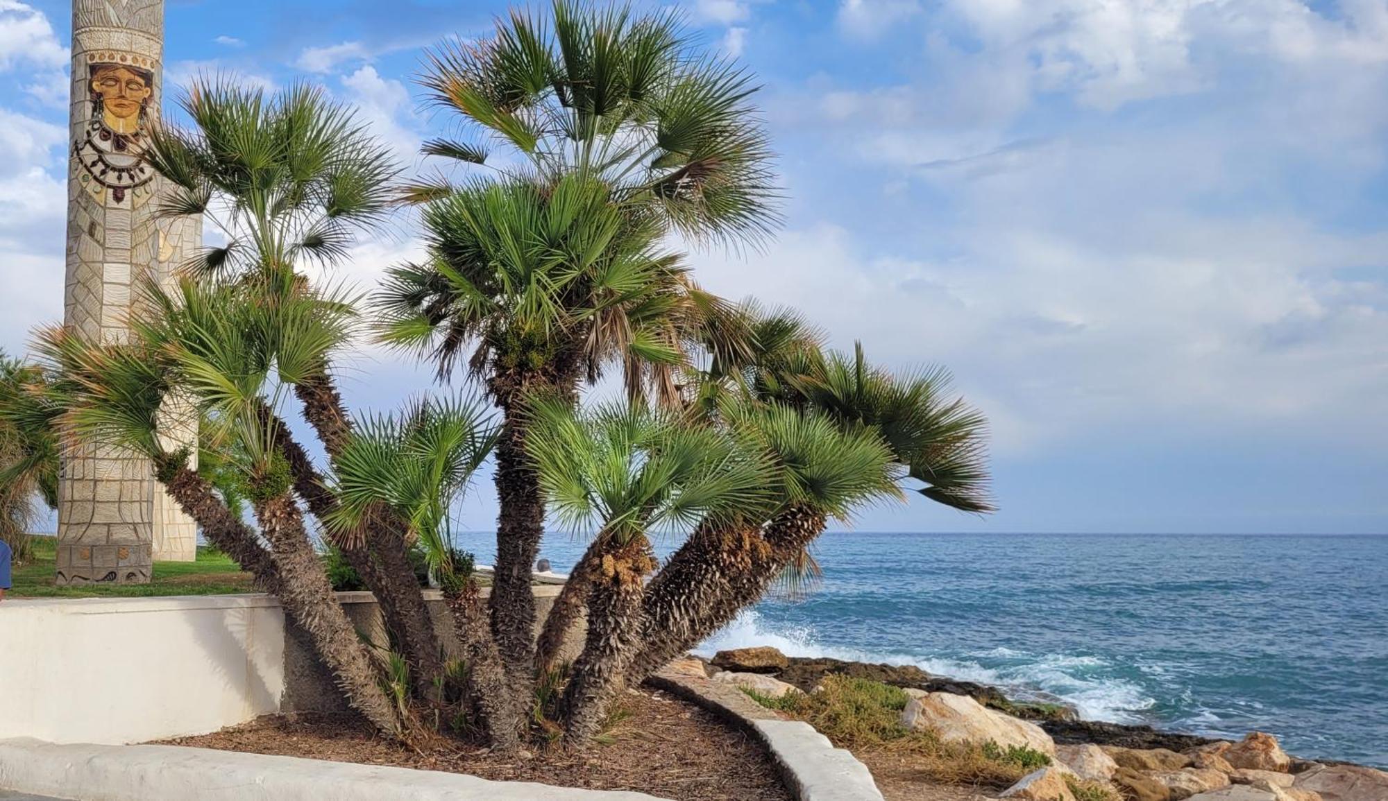 Bungalow Casa De Pablo La Mata  Dış mekan fotoğraf